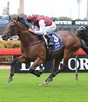 Epaulette wins on debut at Rosehill<br>Photo by Racing and Sports